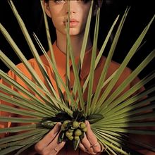 DIVINITY DESCENDED_Exhibition Video. Film, Video, and TV project by Xavier Gómez Guillamón - 11.29.2021