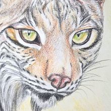 Ilustración naturalista. Un progetto di Illustrazione tradizionale e Illustrazione naturalistica di Ara Arts - 30.05.2020