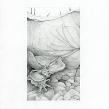 My project in Artistic Illustration Techniques with Graphite Pencils course. Traditional illustration, and Pencil Drawing project by Valya Papadopoulou - 03.30.2021