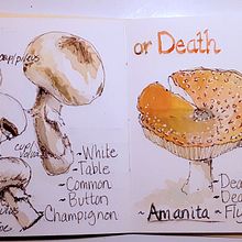 My project in Botanical Watercolor Sketchbook course. Watercolor Painting project by Marilyn Allen - 04.10.2021