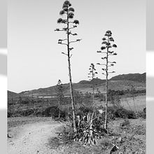 Cabo de Gata. Un proyecto de Composición fotográfica, Fotografía, Fotografía digital y Fotografía en exteriores de Marta García González - 27.08.2018