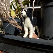 Pepper, the Border Collie. Needle Felting.. Art To, s, Character Design, To, Design, Character Animation, Arts, and Crafts project by Edson Mito - 04.01.2021