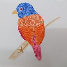 Passarinho . Ink Illustration project by Carla Susana Ribeiro - 04.01.2021