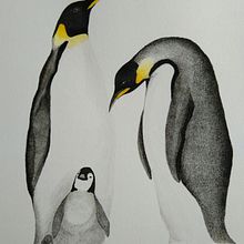 Mi Proyecto del curso: Ilustración naturalista de aves con acuarela (Pingüino Emperador). Projekt z dziedziny Malowanie akwarelą użytkownika constfuentesc - 01.04.2021