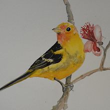 I chose to paint birds from my garden.. Un proyecto de Pintura a la acuarela de earthdiver1921 - 01.04.2021