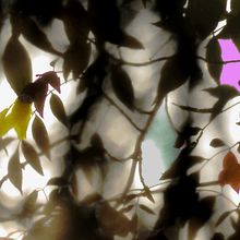 Proyecto 3 - Sueños Mágicos. Photograph, Fine-Art Photograph, and Digital Photograph project by German Diaz - 08.14.2019