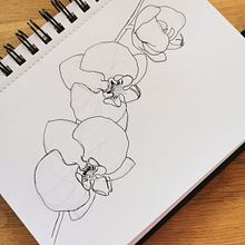 Botanic. Un progetto di Illustrazione botanica di Daphne Buitendijk - 02.04.2021