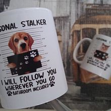 Creación de contenido para Instagram. Un progetto di Fotografia per Instagram di Jeniefer Ortiz - 02.04.2021