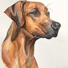 My project in Experimental Watercolor Techniques for Beginners course. Watercolor Painting project by Elizabeth de Broise - 04.02.2021
