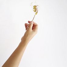 Fotografía profesional para Instagram. Un progetto di Fotografia per Instagram e Instagram di Jeniefer Ortiz - 02.04.2021