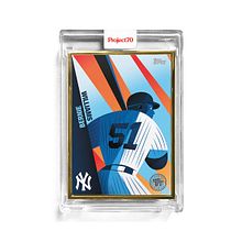 Baseball Card. Design, Digital Illustration, Traditional illustration, and Vector Illustration project by Nathan Jurevicius - 04.02.2021
