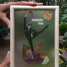 Secretos del Bosque. Collage project by Sylvanna Cassalins - 04.07.2021