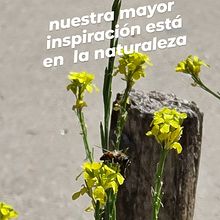 Mi Proyecto del curso: Fotografía y vídeo profesional con tu móvil. Un progetto di Social media di Rene Enrique Martinez Solari - 17.03.2021