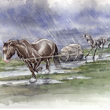 Animal Farm2. Traditional illustration project by Anna E. Lukasik-Fisch - 04.04.2021