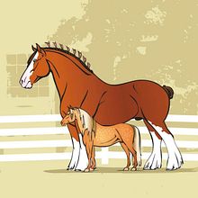 Riding booklet for girl scouts of USA 2. Digital Illustration, Traditional illustration, and Vector Illustration project by Anna E. Lukasik-Fisch - 04.04.2021