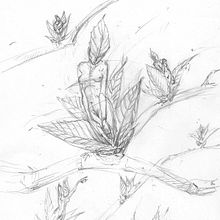 Spring. Traditional illustration, and Sketching project by Anna E. Lukasik-Fisch - 04.04.2021