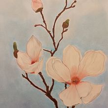 Magnolia. Desenho, Desenho a lápis, e Desenho artístico projeto de Laura Pagan - 26.01.2018