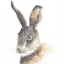 Coni. Naturalistic Illustration project by montseredondo - 04.05.2021