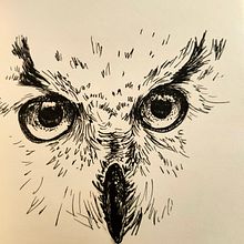 ink animals. Traditional illustration project by Olivia Molon - 04.05.2021