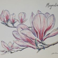 Mi Proyecto del curso: Cuaderno botánico en acuarela. Projekt z dziedziny  Sztuki piękne, Trad, c, jna ilustracja, R, sunek botaniczn i Malowanie akwarelą użytkownika Davina Greeves - 05.04.2021