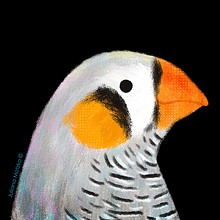 Animal Portraits. Traditional illustration, Digital Painting, Digital Illustration, and Children's Illustration project by Juliana Motzko - 04.05.2021