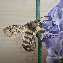 lavender bee. Painting, and Oil Painting project by Roberto Toledo - 04.06.2021