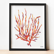 Acuarelas - Corales. Decoration, Drawing, Traditional illustration, Botanical Illustration, and Watercolor Painting project by Florencia Giossa - 07.06.2020