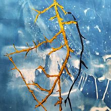 Mi Proyecto del curso: Cianotipia: técnica de impresión con luz . % Sofía Moreno Domínguez tarafından hazırlanan Botanik İllüstras, on, Tablo, Sulubo, Ve a Resim projesi - 04.06.2021