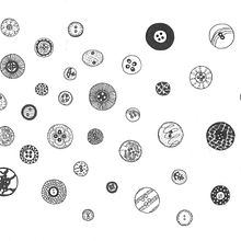 drawings . Artistic Drawing project by Sarah Hill - 04.06.2021