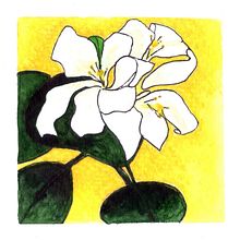From my garden . Un projet de Architecture de Roopa Iyer - 06.04.2021