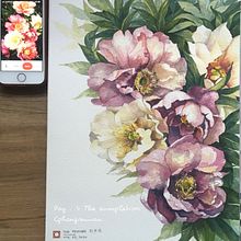 The peonies. . Watercolor Painting project by Sea Phong - 04.21.2020