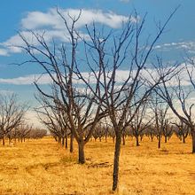 Los parpados de Isla . Un projet de Écriture, Narration, Stor , et telling de Diana Valenzuela - 06.04.2021