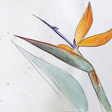 Zeichnungen 2019-2020. Un progetto di Disegno di Monika Ursprung - 07.04.2021