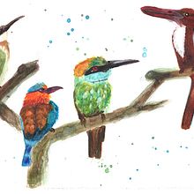 Four Sri Lankan birds. Watercolor Painting project by Marion Moffatt - 04.07.2021