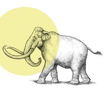 DK - Behind the scenes at the museum. Un progetto di Illustrazione infantile di Philip Harris - 07.02.2020