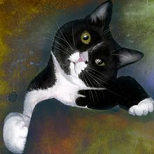 Mi Proyecto del curso: Ilustración naturalista de animales con Procreate Ein Projekt aus dem Bereich Traditionelle Illustration, Digitale Illustration, Realistische Zeichnung und Naturalistische Illustration von Lara Barbali - 07.04.2021