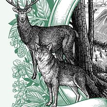 Arte Magazine - Rewilding. Un progetto di Illustrazione editoriale di Philip Harris - 31.03.2019