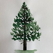 Mi Proyecto del curso: Dibujo para principiantes nivel -1. Projekt z dziedziny  R i sunek użytkownika Jimenaa - 07.04.2021