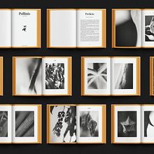 • Editorial de Pollinis •. Un progetto di Design editoriale di Lucas Ofero - 07.04.2021