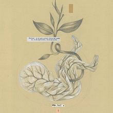 Persona Invicta . % Claudia Salgueiro tarafından hazırlanan Geleneksel illüstras, Ve on projesi - 09.01.2016