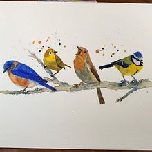 My project in Artistic Watercolor Techniques for Illustrating Birds course. Traditional illustration, Watercolor Painting, Realistic Drawing, and Naturalistic Illustration project by Trudy - 04.08.2021