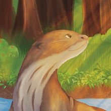 Lobito de Río. Un projet de Dessin numérique, Illustration traditionnelle et Illustration numérique de Felicitas Arena - 23.03.2021