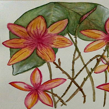 Las Flores del jardín de Raquel. Projekt z dziedziny Trad, c i jna ilustracja użytkownika Daniela Guardiano - 25.04.2021