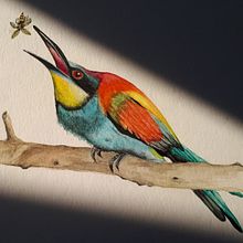 Neues Projekt: Bienenfresser. Watercolor Painting project by Scarlett Gnad - 04.08.2021