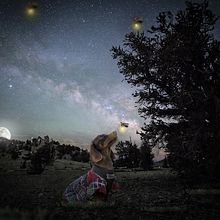 Dog in Darkness. Graphic Design project by fabriciozerves - 04.08.2021