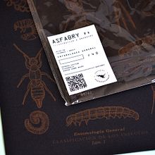 Entomología General.. Un progetto di Design, Design di poster  e Illustrazione tradizionale di Fabry Salgado - 05.03.2021
