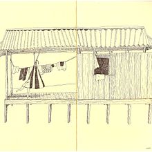 Amazonas. Drawing, Realistic Drawing, Naturalistic Illustration, and Narrative project by Powerpaola - 04.09.2021