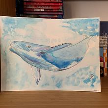 My project in Illustrating Nature: A Creative Exploration course. Ink Illustration project by Valentina Gilardi - 04.09.2021