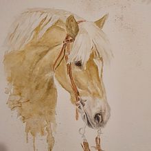 Lilly... and others.... Watercolor Painting project by hmaria68 - 04.09.2021