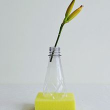 trash|flora. Een project van Fotografische compositie, Creatieve consultanc,  Art direction, Fotografie, Artistieke fotografie, Productfotografie, Fotografie voor Instagram e Instagram van DAVID CABRA - 09.04.2021